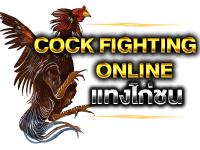 ไก่ชน